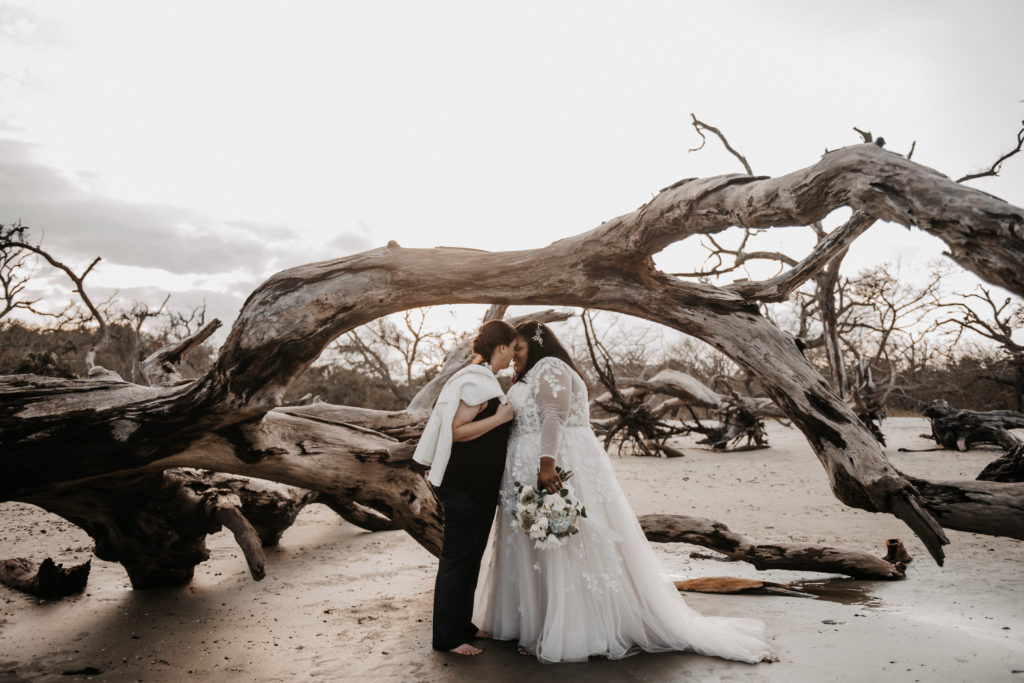 two brides kissing each other on the beach in front of a driftwood tree taken on jekyll island in georgia