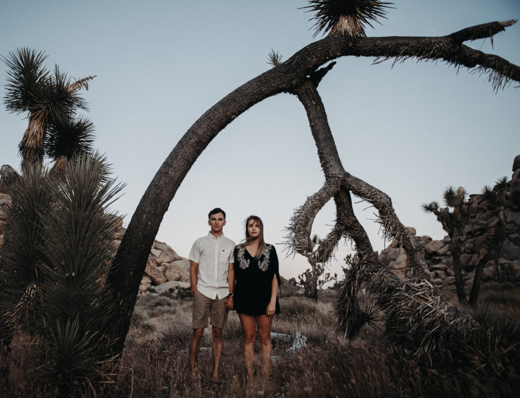Couple standing under a Joshua tree and looking at the camera taken during an engagement session at Joshua tree national park
