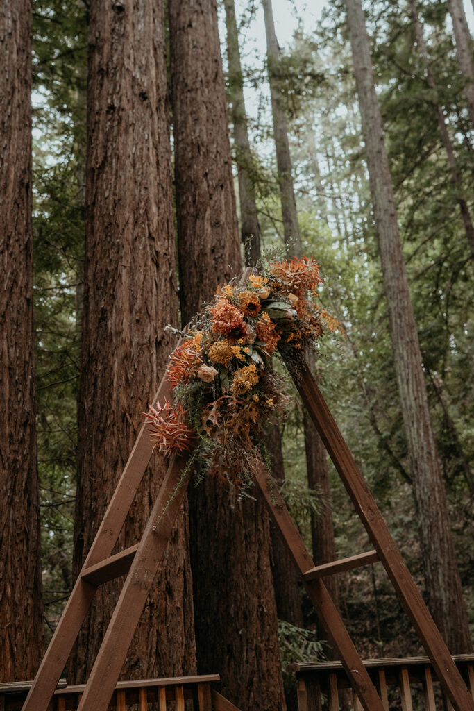 A fall redwood forest California wedding ceremony at Kennolyn Camps