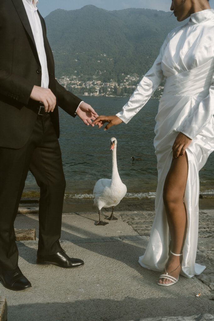 Bride and groom holding hands with a goose in the background