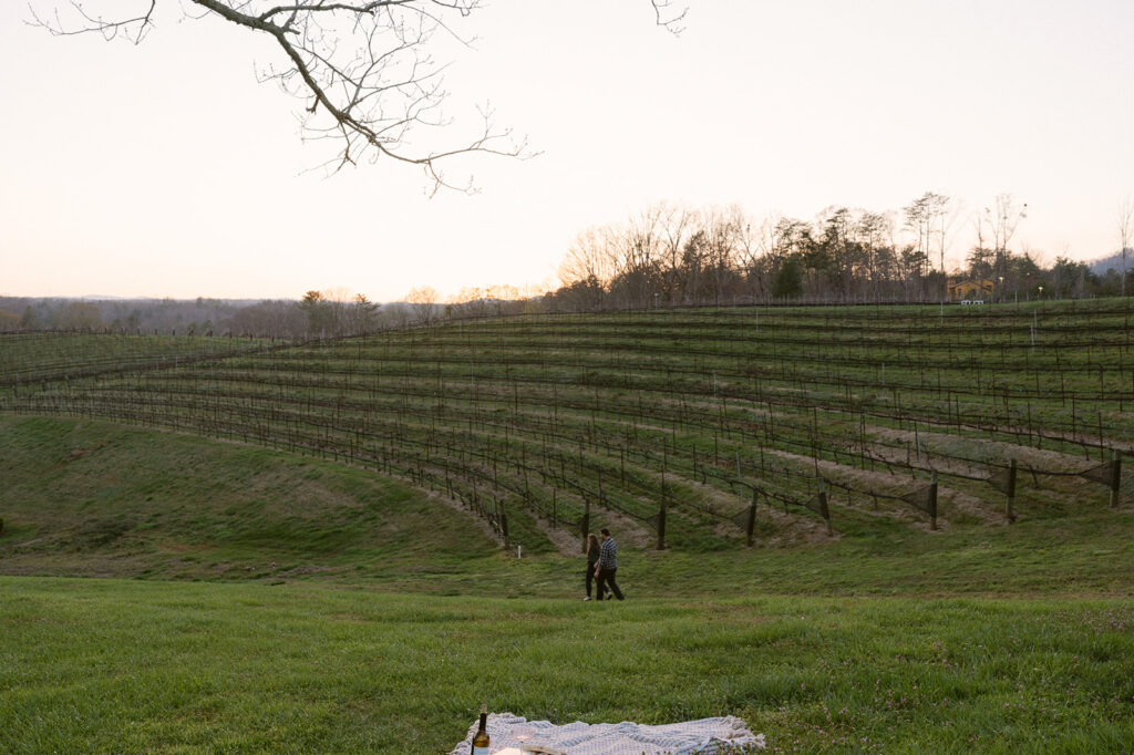 Stunning Proposal Locations in Georgia