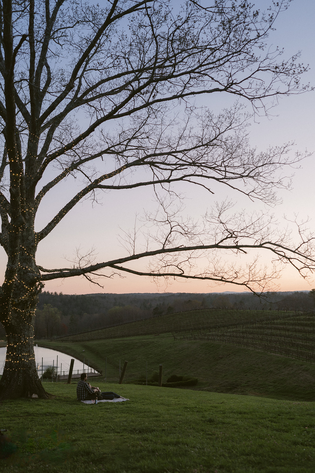 Stunning Proposal Locations in Georgia