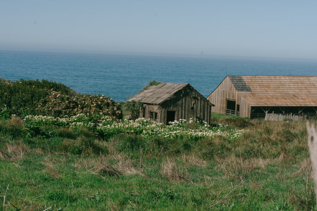Coastal Sea Ranch Lodge Wedding: The Ultimate Venue Guide for Modern Couples