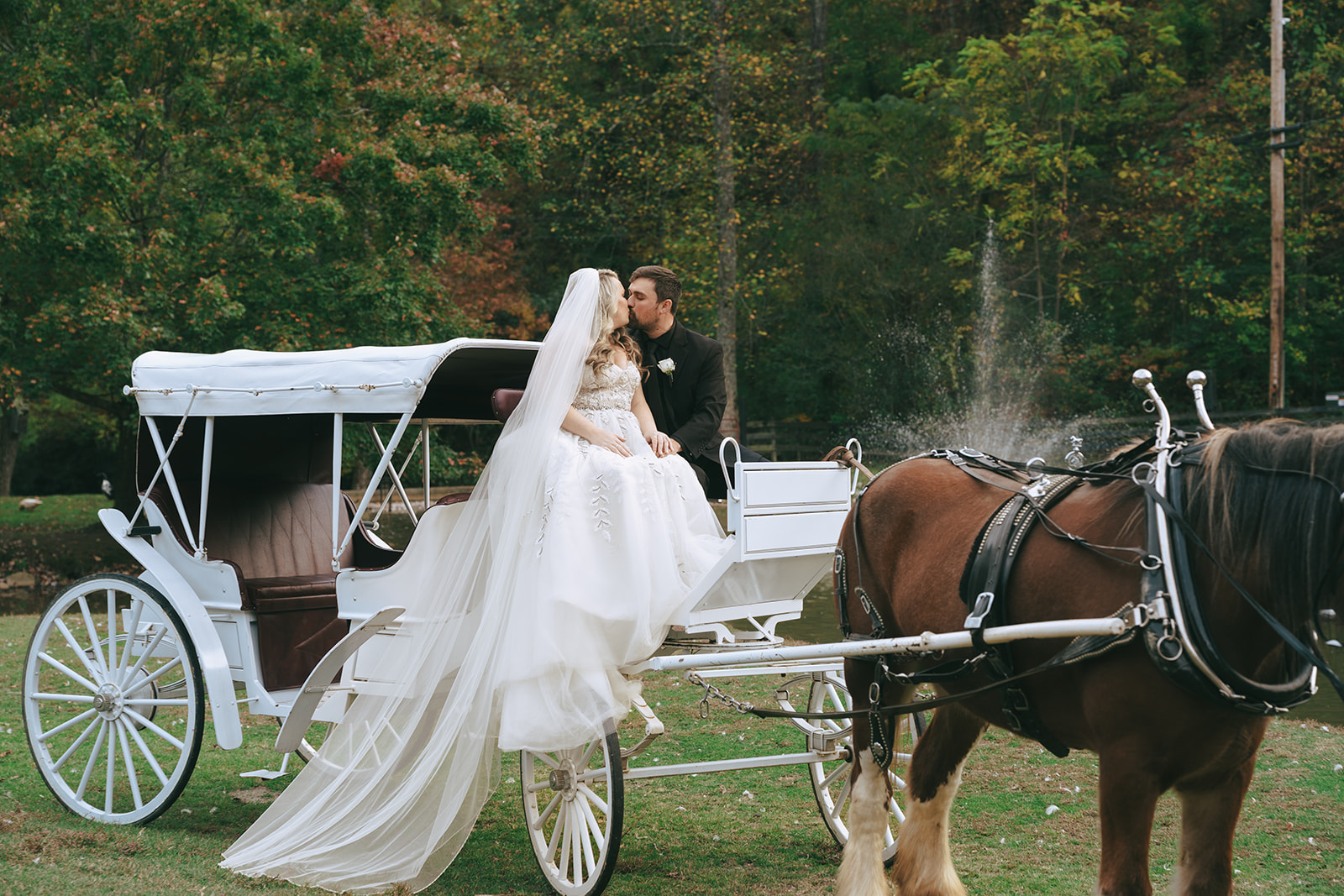 cute picture of the newlyweds kissing