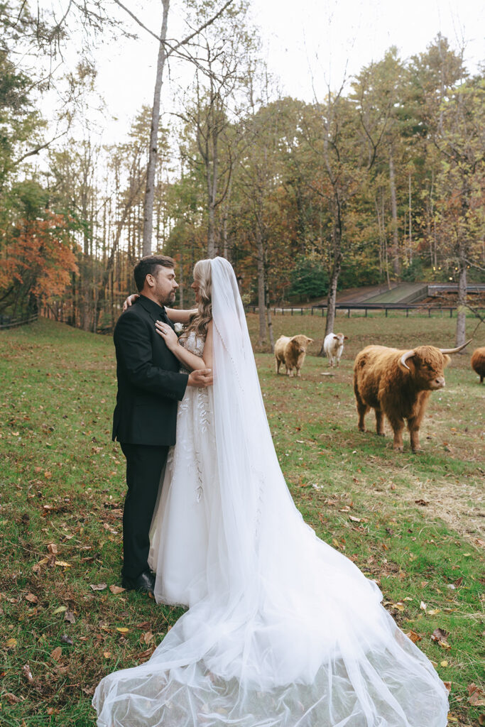 Tori & Steve’s Beautiful Satolah Creek Farm Wedding in the Georgia Mountains