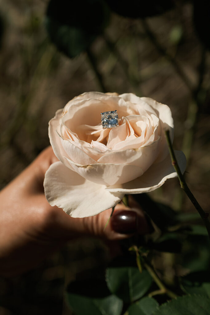 Susannah & Jack Romantic Fall Atlanta Botanical Garden Proposal