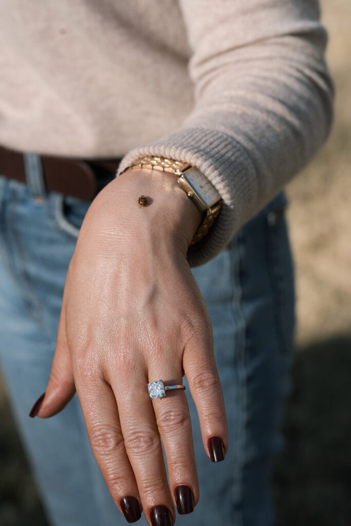 stunning closeup shot of the engagement ring