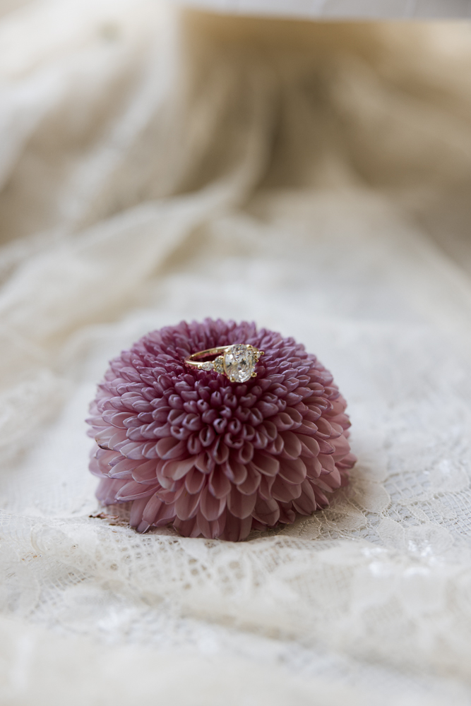 stunning closeup shot